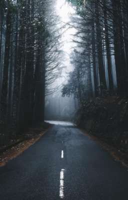 Найти себя(Новая жизнь) 