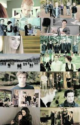 Жизнь за гранью возможности