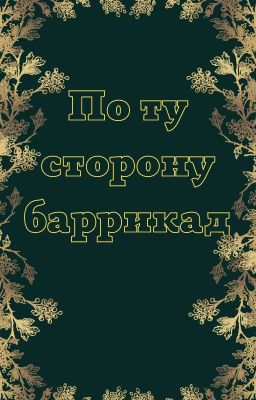 По ту сторону баррикад