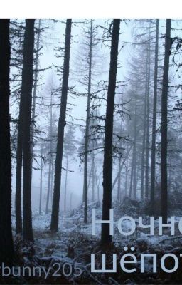 Ночной шёпот