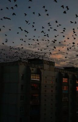 Не так, как она хотела