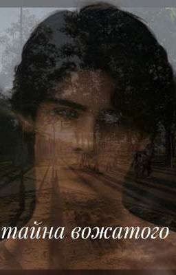 Тайна вожатого