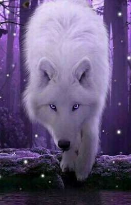 Фамильяр В Крипипасте 2