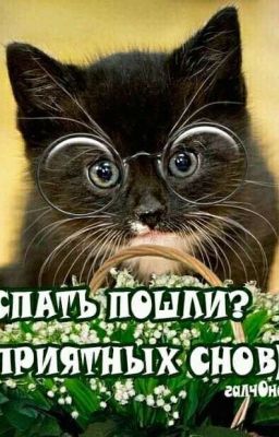 Ты спишь?