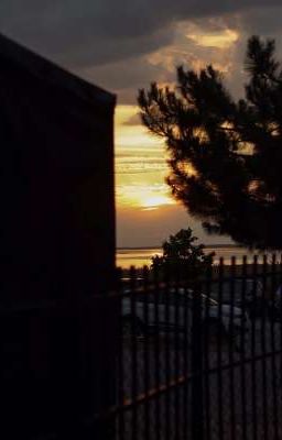 поездка изменившая твою жизнь