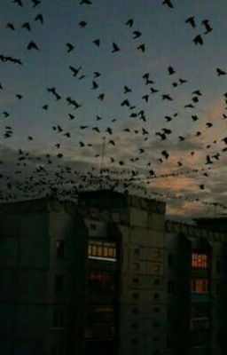 она и чимин