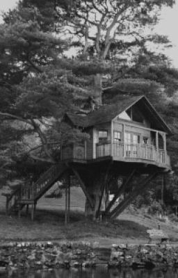 Игра судьбы. Новая жизнь.