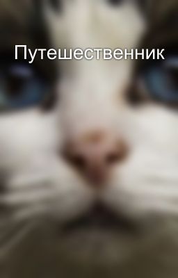 Путешественник