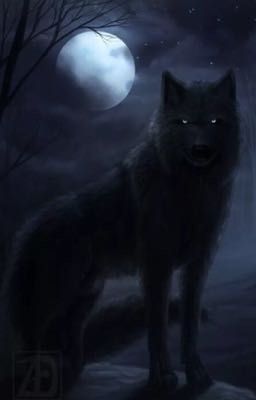 Дженифер Блэк и Гарри Поттер