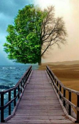 О Любви И Жизни