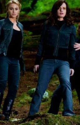 продолжение истории