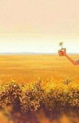 Ворона, Камень И Ветер  Знают Толк В Любви. 