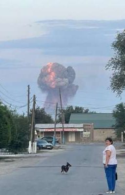 Сборник моих нарко-трипов