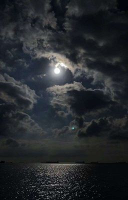 Проводники