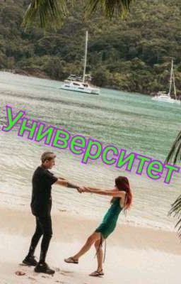 университет