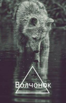 Волчонок
