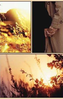 Солнце умирает в сумерках