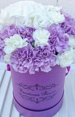 Школа Интернат