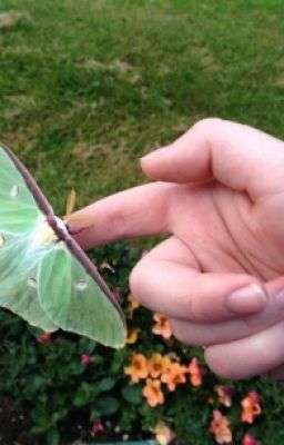 Мёртвая Литература 