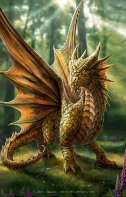 У нас в Заримании