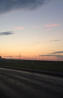 Мир сошёл с ума 