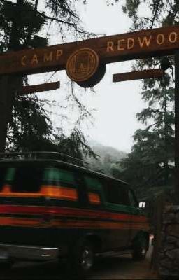 Лагерь шалостей 