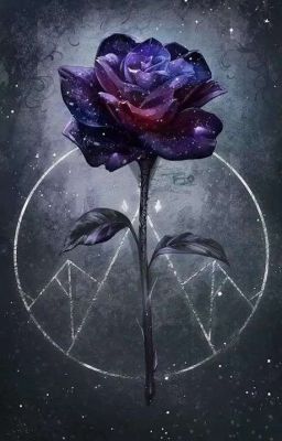 Новая жизнь т/и.