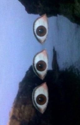 Рак по знаку зодиака