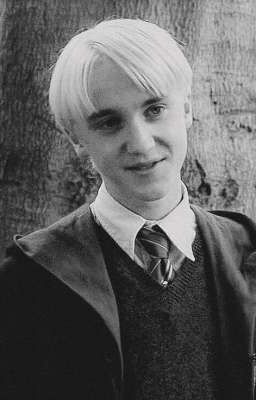 История двух влюбленых врага 