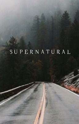 Шоссе на бездорожье