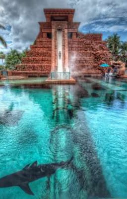 дневник акулы вторая часть (жизнь в раю) 