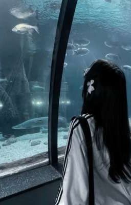 Князь тьмы и принцесса Света🖤🤍