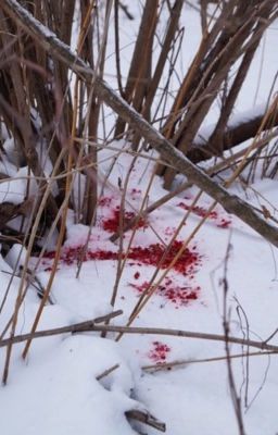 ЗАЙЧИК И Т/И