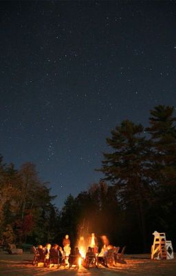 Незабываемый лагерь