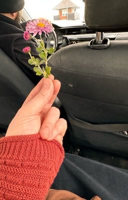 Размышления за бытом🧽💗