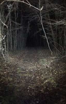 Поворот не туда