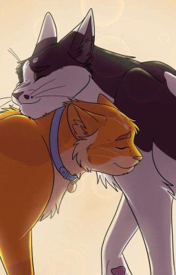 Фанфик:"Новая Жизнь"