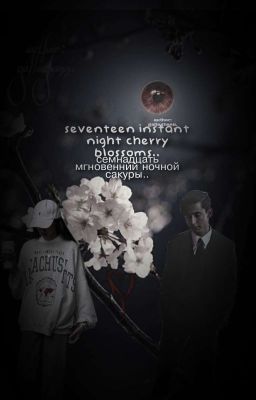 семнадцать мгновенний ночной сакуры..