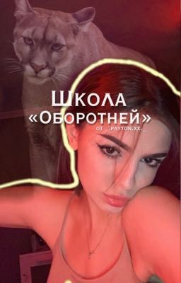 «Школа Оборотней»