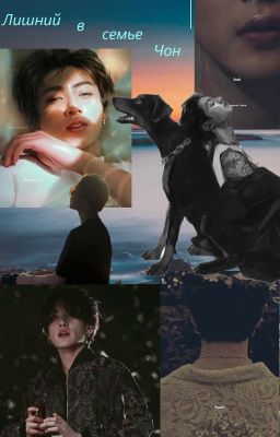 Лишний в семье Чон
