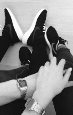 Первая Арена