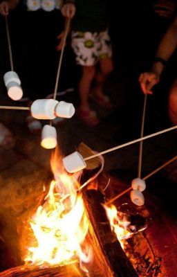 Лето. Лагерь. И Мы.