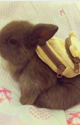 тексты песен