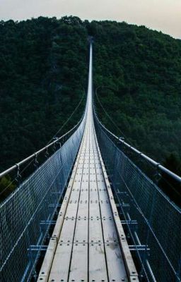 Лирические Стихи