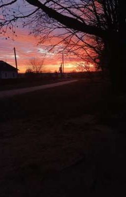 красивая любовь