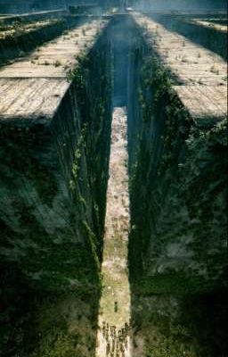 🎉Бегущий в лабиринте🎉