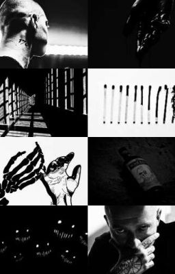 От выстрела до выстрела