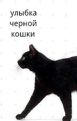 Улыбка черной кошки