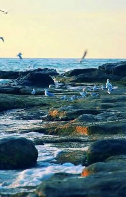 "Море под раем" ТОМ 1