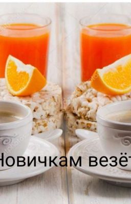 Новичкам везёт